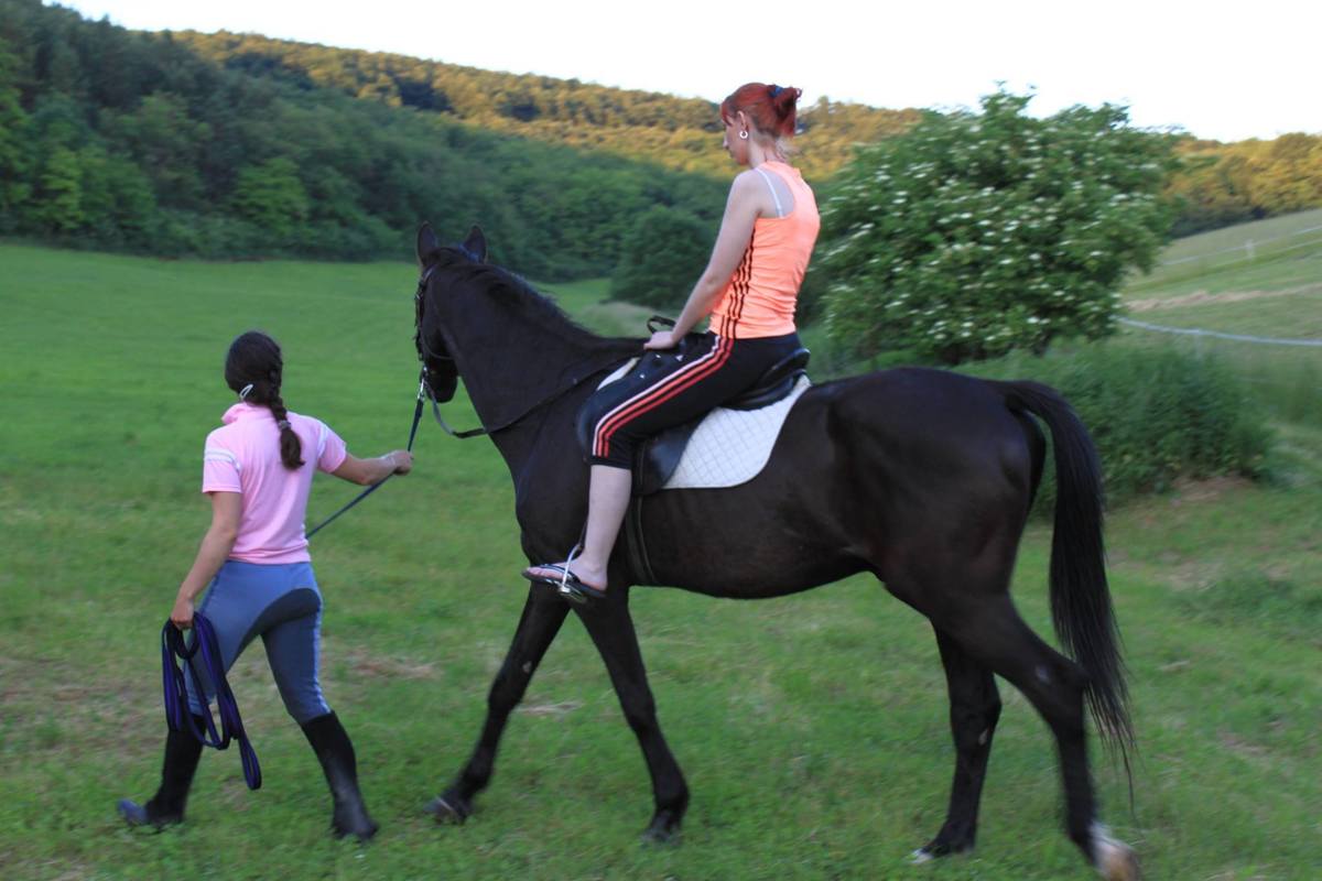 Julova Valley Farm | Horses, riding Pleš | KamNaVylet.sk